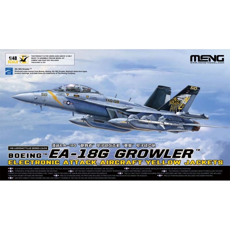 Boeing EA-18G Growler.