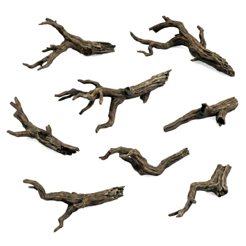 Ramas de árbol rotas.