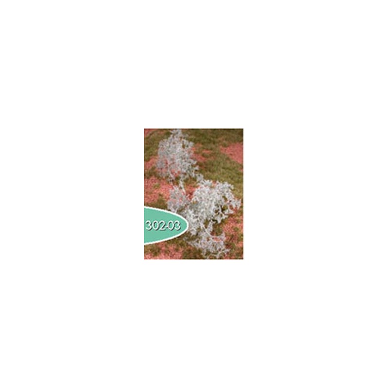 Filigree bushes sagebrush. SILHOUETTE 302-03S