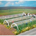 Clear plastic plant tunnels. BUSCH 1399
