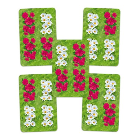 Imagen de los componentes del juego de cartas abstracto Spring.