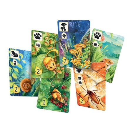 Pradera juego de mesa naturaleza estrategia y cartas