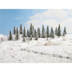 10 Schnee-Tannen | Offene Tasche.