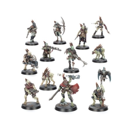 Patrulha: Kroot.