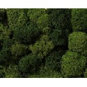 Musgo, verde. NOCH 08621
