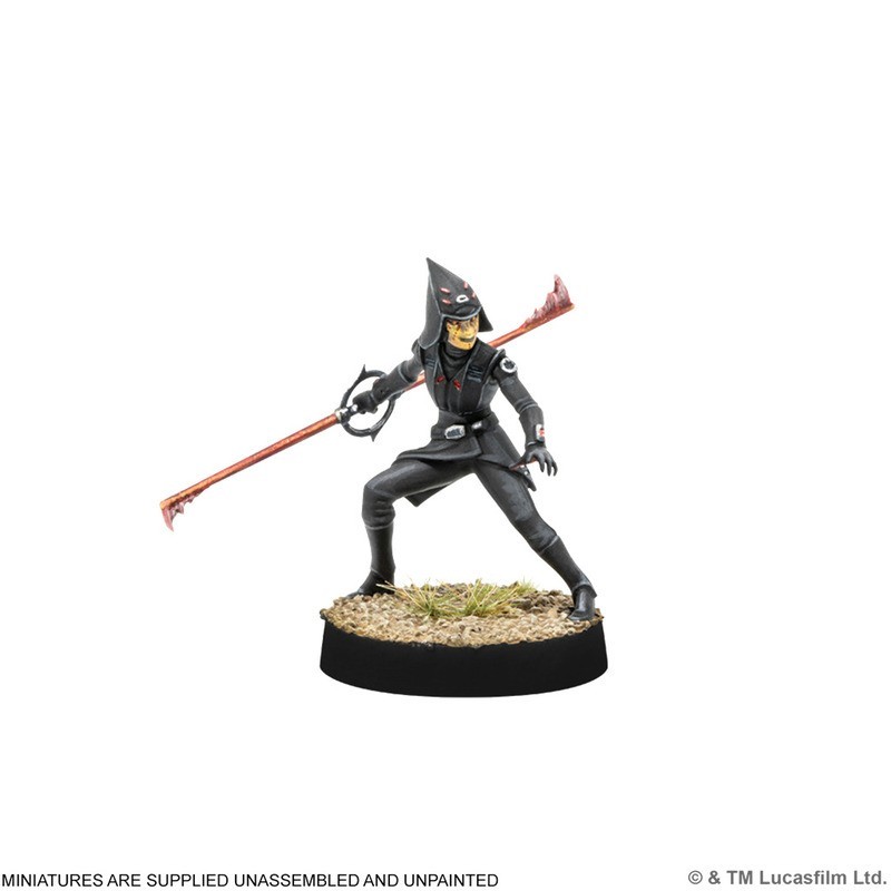 Star Wars: Legion – Padmé Amidala | Deutschland