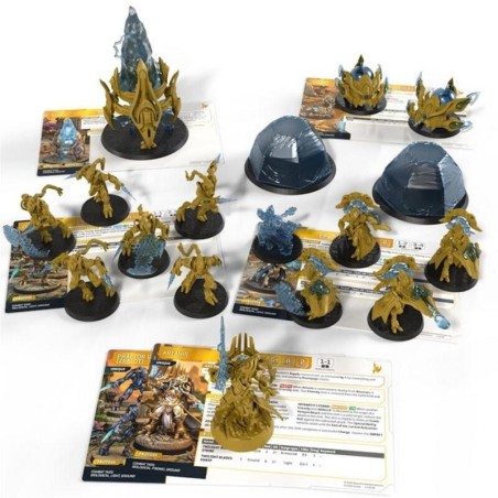 StarCraft Protoss Starter Set Edição dos Fundadores | Wargame