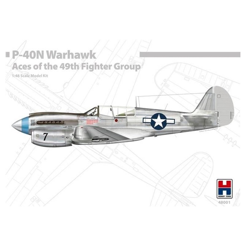 P-40N Warhawk Ases do 49.º Grupo de Caça. HOBBY 2000