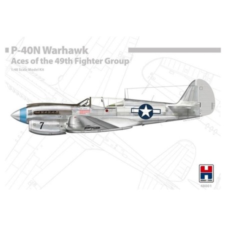 P-40N Warhawk Aces des 49. FG. HOBBY 2000