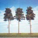 Tres pinos silvestres de 150 mm. ANESTE 561