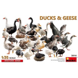 Enten und Gänse.
