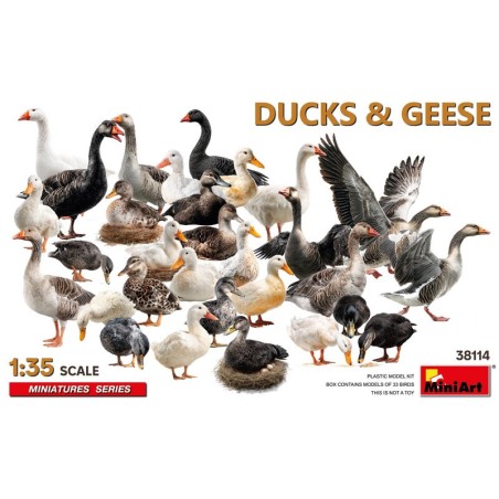 Patos e Gansos.