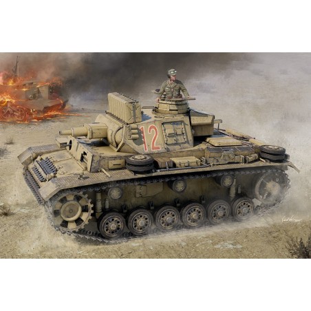 Pz.Kpfw.III Ausf.N., Tunisia.