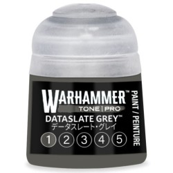 Dataslate grey 1, 12ml.