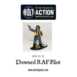 RAF-Pilot abgeschossen.