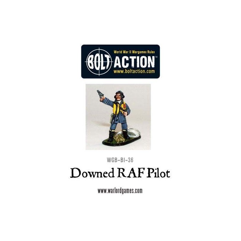 Downed RAF pilot.