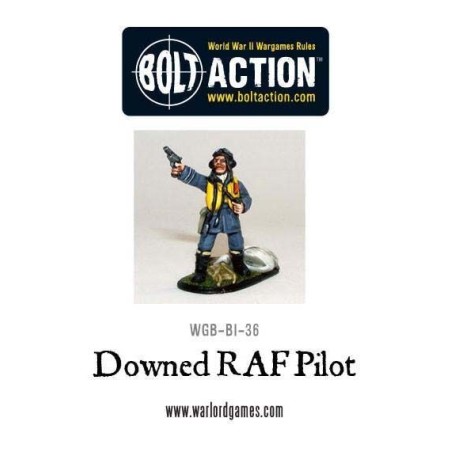 Downed RAF pilot.