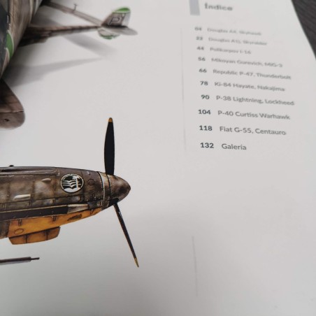 Weathering Effects on Aircraft | Tapa dañada. Weathering Effects on Aircraft | Tapa dañada.
