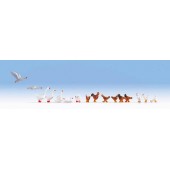 Gallinas y ocas. NOCH 15772