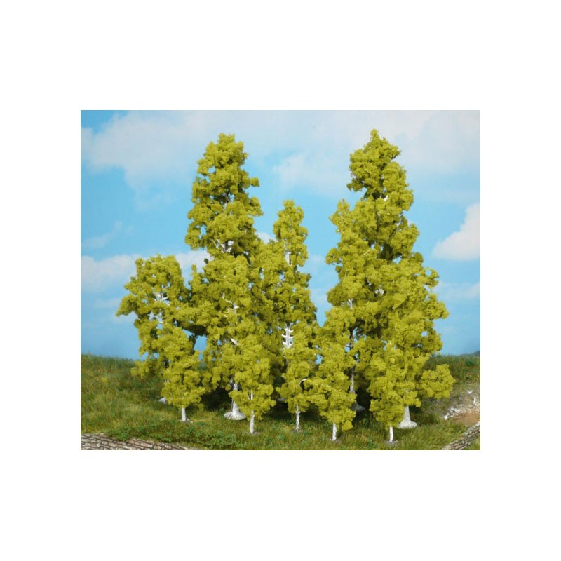 6 abedules. HEKI 1138