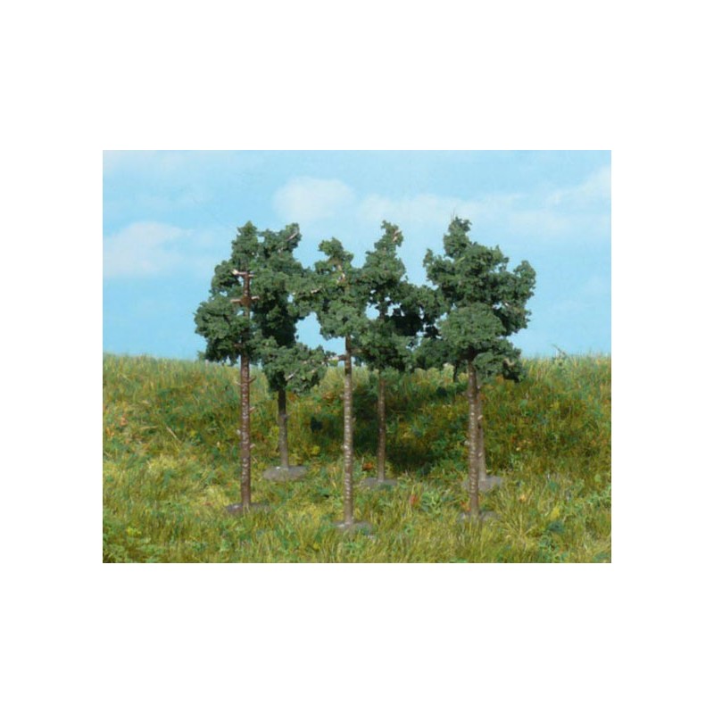 6 pinos silvestres. HEKI 1152