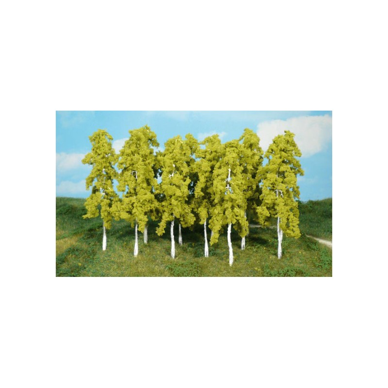 Birch trees. HEKI 1412