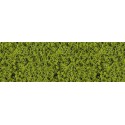 Foliage light green. HEKI 1560