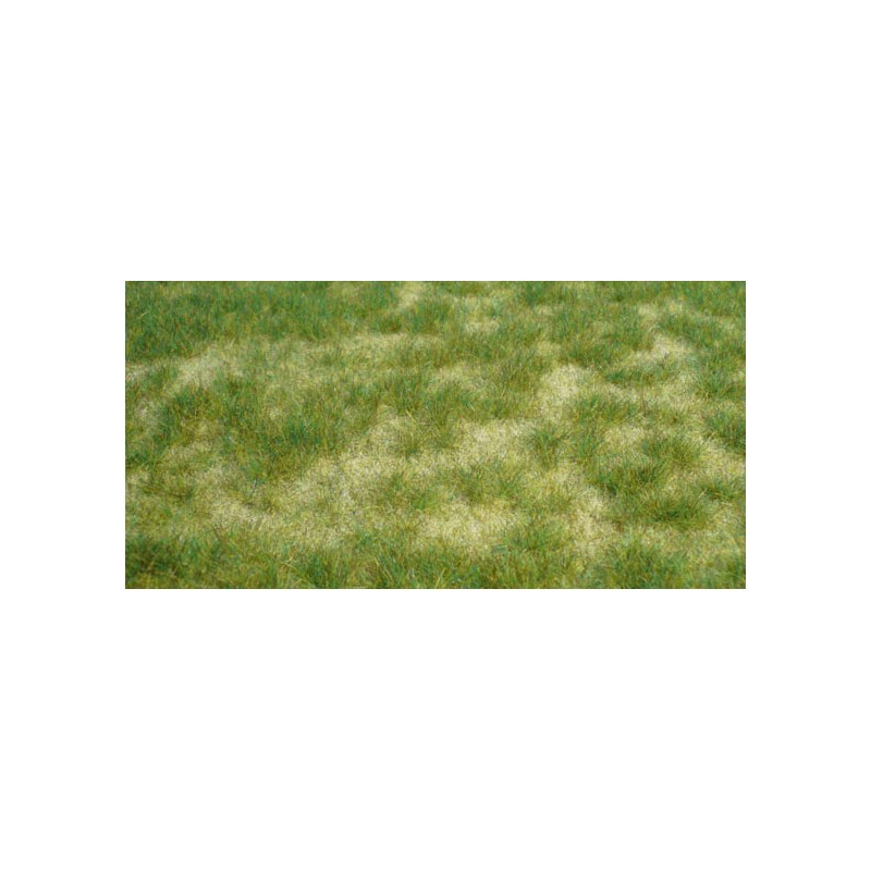 Alfombra, hierba salvaje. HEKI 1842