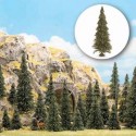 10 Pine trees with roots. BUSCH 6475