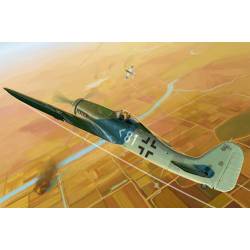 Focke-Wulf FW190D-11.