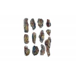 Muffa per la produzione di rocce, rocce del letto del torrente.