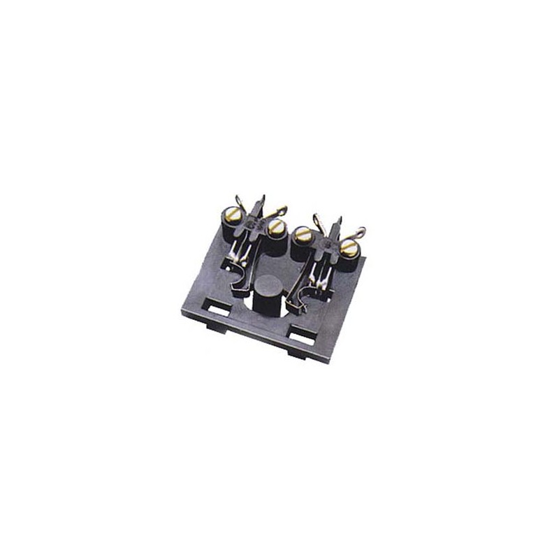 Microinterruptor doble para motores PL10. PECO PL-15