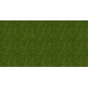 Hierbas silvestres, verde brillo. NOCH 07114