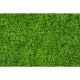 Fibras de hierba, 6 mm, verde oscuro. NOCH 07094