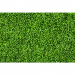 Noch 08200 1.5 mm Scatter Grass Spring Meadow Landscape modellareNoch 08200 1.5 mm Scatter Grass Spring Meadow Landscape modellare...Scatter Grass Spring Meadow (length