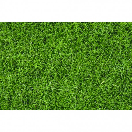 Wild grass dark green, 6 mm. NOCH 07094