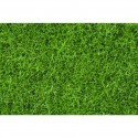 Wild grass dark green, 6 mm. NOCH 07094 Wild grass dark green, 6 mm. NOCH 07094