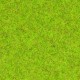Fibras hierba, 2.5 mm, pradera primavera. NOCH 08150