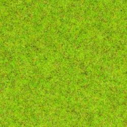Scatter grass spring meadow.