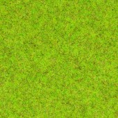 Scatter grass spring meadow. NOCH 08150