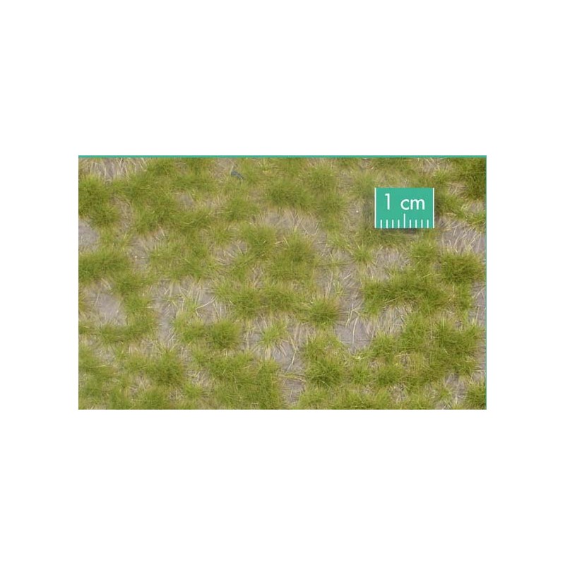 Mechones de césped, primavera. SILHOUETTE 737-21