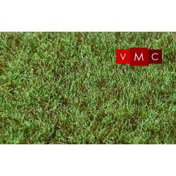 Marshland grass.
