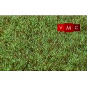 Marshland grass. VMC 70059