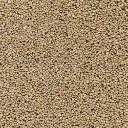 Grava beige.