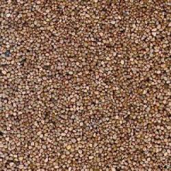 Grava beige.