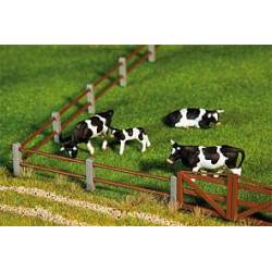 Paddock fence.