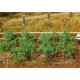 18 tomato plants. FALLER 181259