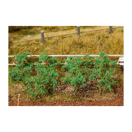 18 tomato plants. FALLER 181259