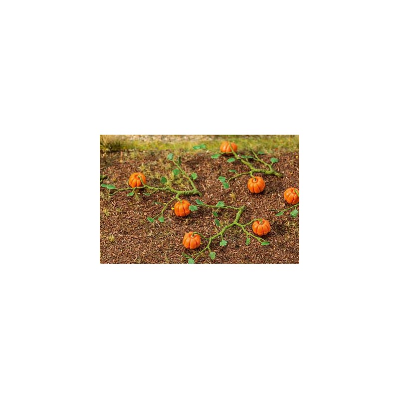6 plantas de calabaza. FALLER 181258