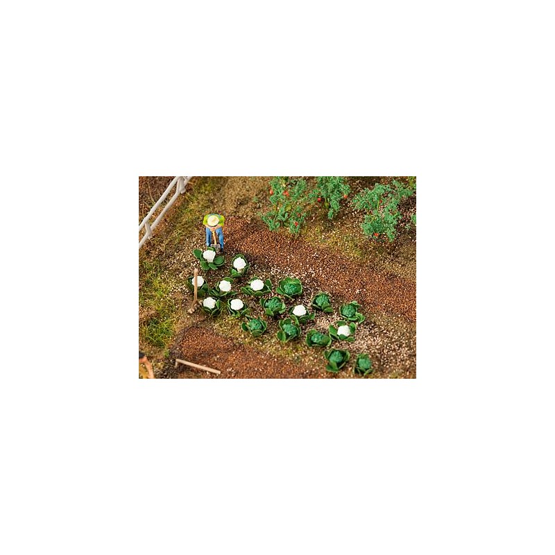 Green cabbage and cauliflower. FALLER 181257 Green cabbage and cauliflower. FALLER 181257